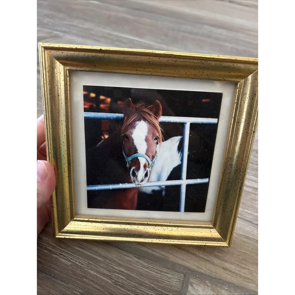 Picture‎ Frame with Horse picture Design 6